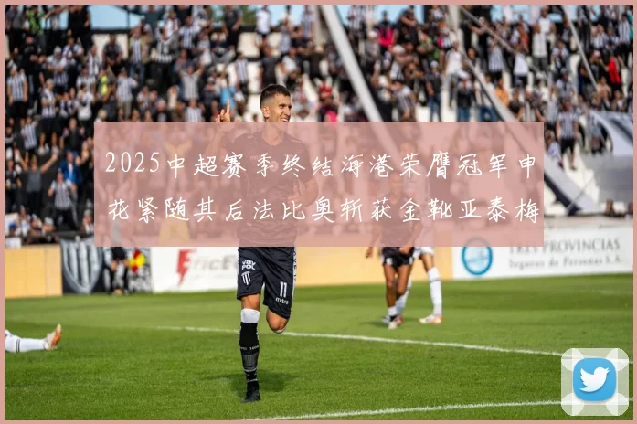 2025中超赛季终结海港荣膺冠军申花紧随其后法比奥斩获金靴亚泰梅州遗憾降级