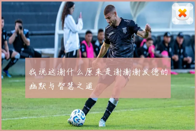 我说这谢什么原来是谢谢谢泼德的幽默与智慧之道