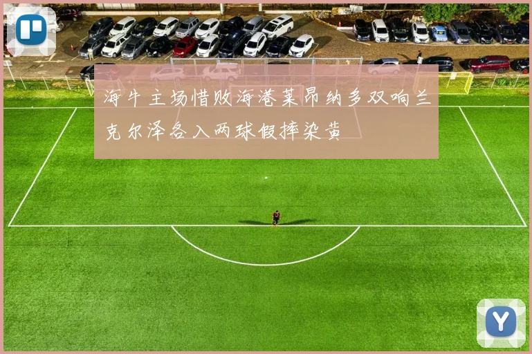 海牛主场惜败海港莱昂纳多双响兰克尔泽各入两球假摔染黄